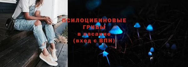 таблы Белокуриха